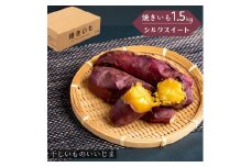 焼き芋 シルクスイート 1.5kg 期間限定 干しいものいいじま 焼きいも やきいも  冷蔵便  茨城 鉾田 さつまいも サツマイモ 自社農園