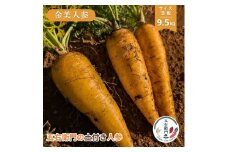 五右衛門の 土付き人参 ［ 金美人参 ］9.5kg （SS～LLサイズ混載　35本前後）にんじん ニンジン キャロット 土付き 鉾田 茨城