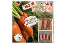 五右衛門の 訳あり人参 9.5kg  加工用 規格外（サイズ 品種 大きさ 全て混載 割れ 欠け 含む）にんじん ニンジン キャロット  鉾田 茨城 訳あり わけあり ワケアリ 