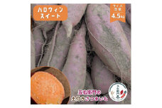 五右衛門の 土付きサツマイモ ［ ハロウィンスイート ］4.5kg さつまいも  土付き 低温熟成 鉾田 茨城