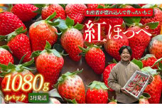 【3月発送】紅ほっぺ／270g×4パック（4パック入り1箱）