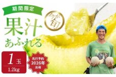 【来年2026年】先行予約！ジューシーな果汁たっぷりメロン ＼生産量日本一の実力！／ 旬の イバラキング メロン 茨城県 鉾田市産 めろん 1.2kg以上×1玉｜方波見農園 《安心安全栽培》上品な甘さ 絶品 産地直送 青肉 高級 おすすめ 人気 BMW農法 ジューシー 旬 大きい 甘い 国産 フルーツ 果物 ギフト プレゼント 贈り物