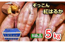ぞっこん 紅はるか B級品 5㎏ Lサイズ 産出額 全国 No. 1 茨城 鉾田 さつまいも 干し芋 焼き芋 としまる