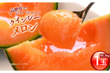 受付終了間近！【クインシーメロン】＼生産量日本一！／ 1玉入り1箱 4Lサイズ 1玉 1.5kg前後 クインシーメロン メロンの村田 選べる玉数 先行予約 赤肉 追熟 産地直送 メロン めろん おすすめ 人気 大きい 定番 ギフト プレゼント 贈り物 国産 フルーツ 果物 茨城 鉾田