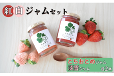 紅白ジャムセット　とちおとめ2本＆淡雪2本