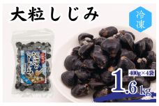 涸沼産 大粒しじみ （1.6kg）