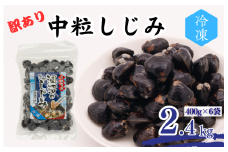 訳あり 涸沼産 中粒しじみ （2.4kg）