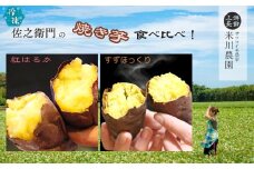 米川農園 佐之衛門 の 焼き芋 食べ比べセット【 紅はるか （400g×2袋）×すずほっくり （400ｇ×2袋）】 計1600g 冷凍 焼きいも 1.6kg 食べ比べ 国産