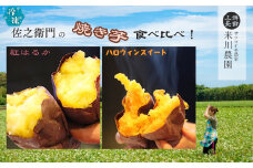 米川農園 佐之衛門 の 焼き芋 食べ比べセット【 紅はるか （400g×2袋）×ハロウィンスイート （400ｇ×2袋）】 計1600g 冷凍 焼きいも 1.6kg 食べ比べ 国産