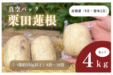 定期便（9月～翌年3月）真空パック栗田蓮根4キロセット