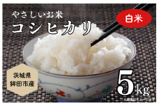 やさしいお米　こしひかり5ｋｇ（白米）