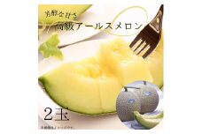 芳醇な甘さ。さんて旬菜館の高級アールスメロン(2個入) お中元 芳醇な甘さ さんて旬菜館の高級 アールスメロン 2個入 メロン めろん おすすめ 人気 国産 青肉 産地直送 茨城 鉾田 フルーツ 旬 大きい プレゼント 贈り物 旬 定番 果物 くだもの 甘い 特大 上品