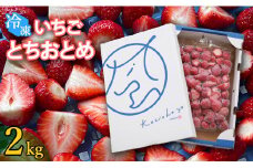 冷凍いちご とちおとめ 選べる 2kg 国産 完熟 おやつ ジャム スムージー ヨーグルト シェイク