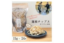 無添加・うす塩味　人間用乾燥蓮根チップス１５g　２４袋セット