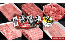 【定期便】【令和7年10月スタート】【全6回】『常陸牛』人気6か月堪能セット（6か月連続でお届け） お肉 肉 牛肉 ステーキ サーロイン 赤身 切り落とし 霜降り カルビ (茨城県共通返礼品)