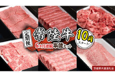 【定期便】【令和7年10月スタート】【全6回】『常陸牛』人気6か月堪能セット（6か月連続でお届け） お肉 肉 牛肉 ステーキ サーロイン 赤身 切り落とし 霜降り カルビ (茨城県共通返礼品)