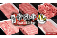 【定期便】【令和7年11月スタート】【全6回】『常陸牛』人気6か月堪能セット（6か月連続でお届け） お肉 肉 牛肉 ステーキ サーロイン 赤身 切り落とし 霜降り カルビ (茨城県共通返礼品)