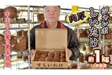 中山さん家の肉厚ジャンボしいたけ約1㎏（15枚程度）【菌床栽培】 きのこ しいたけ シイタケ 椎茸
