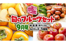 旬のフルーツセット 9月号 【9月より発送開始】 田舎の頑固おやじが厳選！