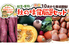 秋 の味覚（野菜・果物）厳選 セット【10月より発送開始】田舎の頑固おやじが厳選！