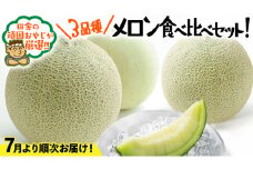 メロン 食べ比べ セット【7月発送開始】田舎の頑固おやじが厳選！