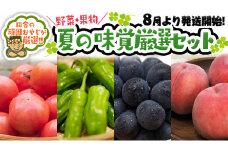 夏の味覚（野菜・果物）厳選セット【8月より発送開始】田舎の頑固おやじが厳選！