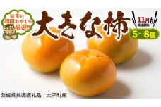 大きな柿 5～8個【11月より発送開始】田舎の頑固おやじが厳選！（茨城県共通返礼品 [柿]：大子町産）