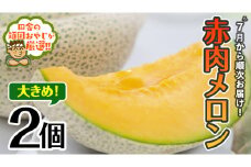 大きめ 赤肉 メロン 2個【7月発送開始】田舎の頑固おやじが厳選！