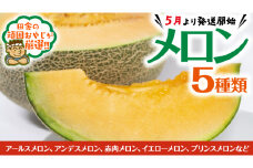 メロン 5種 だっぺセット【5月発送開始】田舎の頑固おやじが厳選！