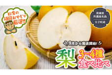 梨 食べ比べ 3～4種類【2025年9月より発送開始】（茨城県共通返礼品 [梨]：大子町産）田舎の頑固おやじが厳選！