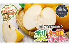 梨 食べ比べ 3～4種類【2025年9月より発送開始】（茨城県共通返礼品 [梨]：大子町産）田舎の頑固おやじが厳選！
