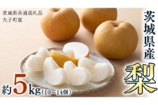 梨 10～14個【2025年9月より発送開始】（茨城県共通返礼品 [梨]：大子町産）田舎の頑固おやじが厳選！旬 フルーツ なし
