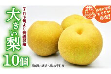 大きい 梨 10個【2025年7月下旬より発送開始】（茨城県共通返礼品 [梨]：大子町産）田舎の頑固おやじが厳選！