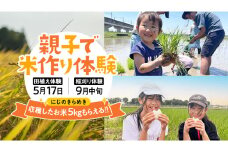 【令和7年5月17日(土) 開催予定】 親子で 米作り体験 （田植え・稲刈り体験） にじのきらめき 5kg付き 茨城県 稲刈り農業 農業体験 子供 家族 参加型 自然 食育 虹のきらめき