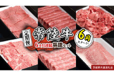 【定期便】【令和7年6月スタート】【全6回】『常陸牛』人気6か月堪能セット（6か月連続でお届け） お肉 肉 牛肉 ステーキ サーロイン 赤身 切り落とし 霜降り カルビ (茨城県共通返礼品)