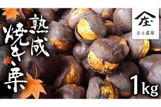 庄七農園 限定 熟成 焼き栗 1kg 【 2024年10月から順次お届け 】 栗 くり 焼栗 おやつ スイーツ 茨城 和栗 美味しい 果物 フルーツ