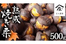 庄七農園 限定 熟成 焼き栗 500g 【 2024年10月から順次お届け 】 栗 くり 焼栗 おやつ スイーツ 茨城 和栗 美味しい 果物 フルーツ