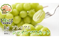 ＜お歳暮熨斗付＞プレミアムシャインマスカット1房 ギフトBOX入り 【令和6年12月より発送開始】 田舎の頑固おやじが厳選！ 茨城県 県産 つくばみらい市 人気 厳選 果物 くだもの 旬 旬の果物 旬のフルーツ プレミア プレミアム シャインマスカット マスカット ぶどう ブドウ ギフト 贈り物 プレゼント ボックス入り  熨斗 熨斗付き お歳暮 御歳暮 冷蔵 送料無料