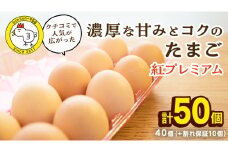紅プレミアム 卵 50個 （ 40個 入り ＋ 割れ保障 10個 ） 独自飼料 濃厚 おいしい玉子 玉子 たまご サンサンエッグ タンパク質