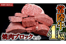 【 常陸牛 】焼肉 ブロックセット合計 4kg (茨城県共通返礼品) 国産 焼き肉 牛肉 やきにく ブランド牛 肉 サーロイン キャンプ