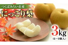 にっこり梨 3kg 【10月発送開始】 梨 ナシ なし 果物 フルーツ 秋 茨城県 デザート 果実