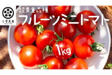 フルーツミニトマト 約1kg 【1月10日発送開始】 フルーツミニトマト ミニトマト とまと リコピン フルーツトマト 野菜