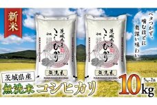 【 新米 】 令和7年産 無洗米 茨城 こしひかり 10kg（ 無洗米 5kg × 2本 ） 新生活 プレゼント 新生活応援 必要なもの 便利 おすすめ 消耗品 一人暮らし 二人暮らし 必要