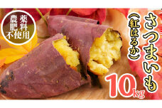 さつまいも ( 紅はるか ） 10kg 【 農薬・肥料不使用 】 土つき オーガニック 無農薬 高糖度 肥料不使用 自然栽培 スイーツ 焼き芋 天ぷら スイートポテト 秋 べにはるか 食物繊維
