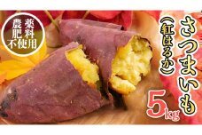 さつまいも ( 紅はるか ） 5kg 【 農薬・肥料不使用 】 土つき  オーガニック 無農薬 高糖度 肥料不使用 自然栽培 スイーツ 焼き芋 天ぷら スイートポテト 秋 べにはるか 食物繊維