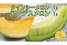 クインシーメロン 1個 アンデスメロン 1個 【8月発送開始】田舎の頑固おやじが厳選！  メロン ギフト 高糖度 甘い 美味しい フルーツ