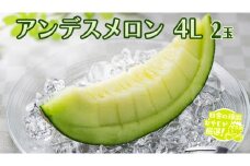 アンデスメロン 4L 2個 【8月発送開始】 田舎の頑固おやじが厳選！ メロン ギフト 高糖度 大玉 甘い 美味しい フルーツ