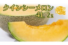 クインシーメロン 4L 2個 【8月発送開始】田舎の頑固おやじが厳選！   メロン ギフト 高糖度  大玉 甘い 美味しいフルーツ