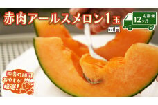 【定期便】 赤肉 アールスメロン 毎月1個 × 12か月 田舎の頑固おやじが厳選！ メロン アールスメロン 赤肉  ギフト 高糖度 定期便 赤肉メロン 甘い 美味しい フルーツ