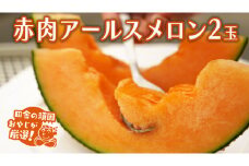赤肉 アールスメロン 2個 田舎の頑固おやじが厳選！ メロン アールスメロン 赤肉  ギフト 高糖度 甘い 美味しい フルーツ